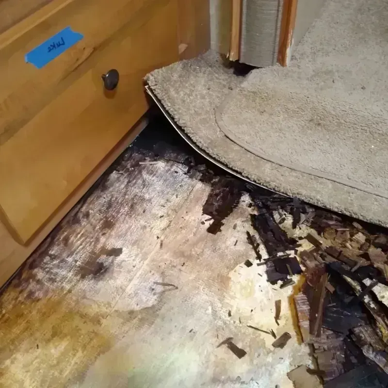 Best Wood Floor Water Damage Service in Vienna, MO